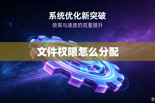 文件权限怎么分配