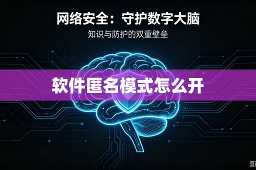 软件匿名模式怎么开