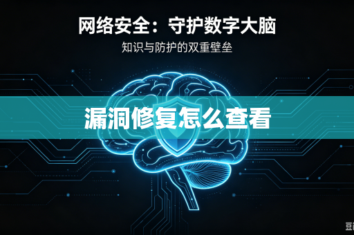漏洞修复怎么查看