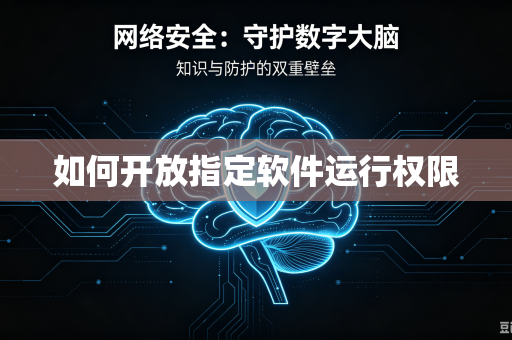 如何开放指定软件运行权限