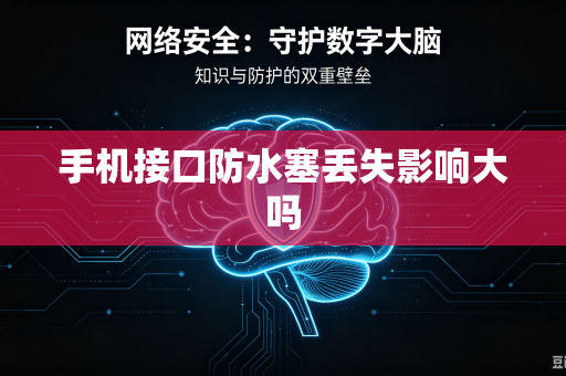 手机接口防水塞丢失影响大吗