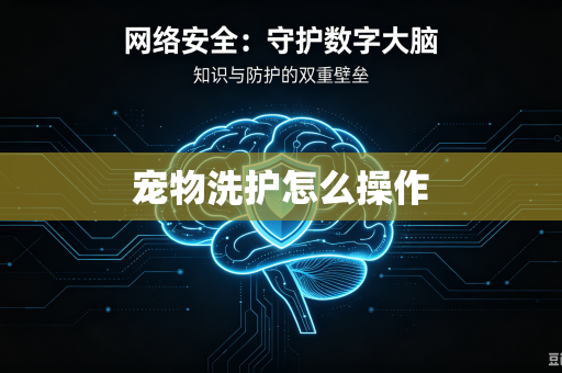 宠物洗护怎么操作