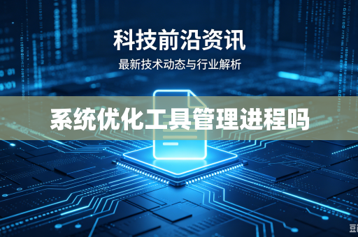 系统优化工具管理进程吗