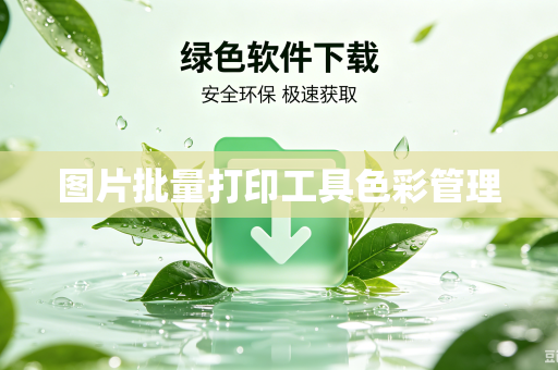 图片批量打印工具色彩管理-第1张图片-电脑手机工具软件下载 - 免费实用工具合集 | 联启科技