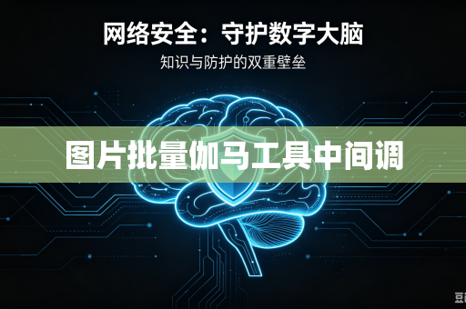 图片批量伽马工具中间调