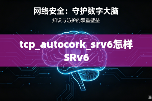tcp_autocork_srv6怎样SRv6-第1张图片-电脑手机工具软件下载 - 免费实用工具合集 | 联启科技 tcp_autocork_srv6怎样SRv6-第1张图片-电脑手机工具软件下载 - 免费实用工具合集 | 联启科技