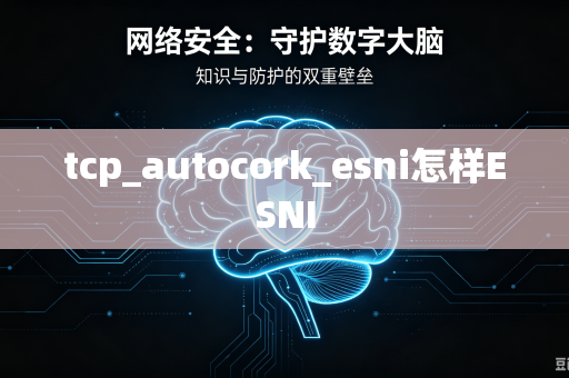 tcp_autocork_esni怎样ESNI
