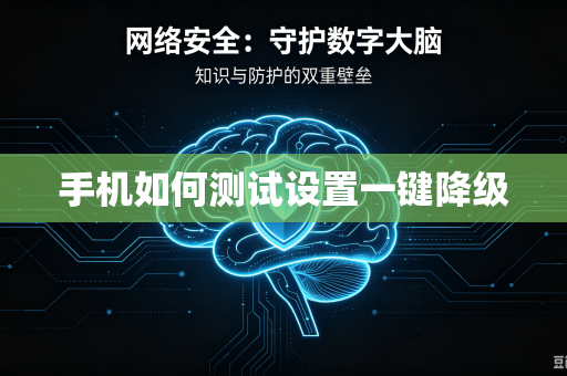 手机如何测试设置一键降级-第1张图片-电脑手机工具软件下载 - 免费实用工具合集 | 联启科技