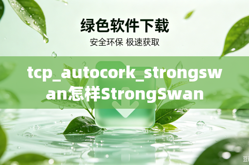 tcp_autocork_strongswan怎样StrongSwan