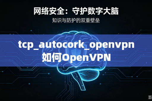 tcp_autocork_openvpn如何OpenVPN-第1张图片-电脑手机工具软件下载 - 免费实用工具合集 | 联启科技