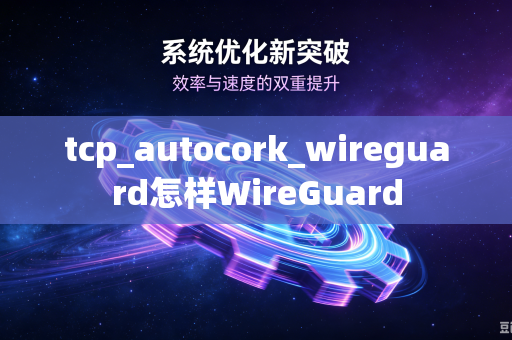 tcp_autocork_wireguard怎样WireGuard