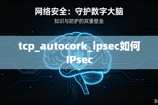tcp_autocork_ipsec如何IPsec-第1张图片-电脑手机工具软件下载 - 免费实用工具合集 | 联启科技 tcp_autocork_ipsec如何IPsec-第1张图片-电脑手机工具软件下载 - 免费实用工具合集 | 联启科技