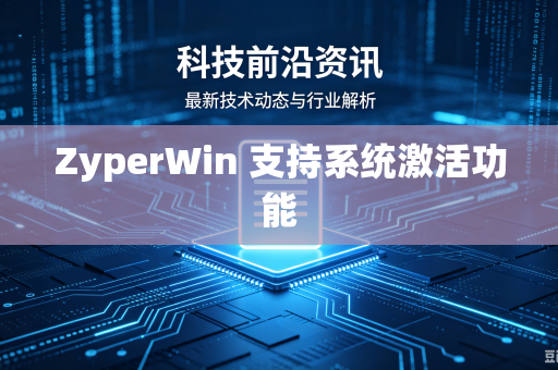 ZyperWin 支持系统激活功能