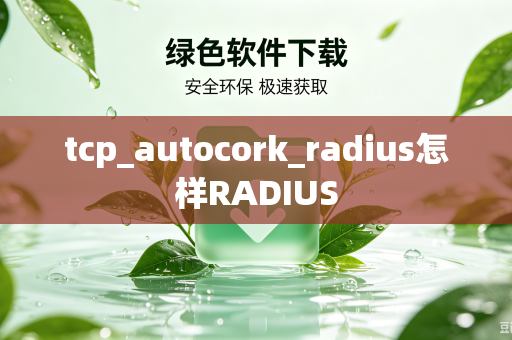 tcp_autocork_radius怎样RADIUS-第1张图片-电脑手机工具软件下载 - 免费实用工具合集 | 联启科技