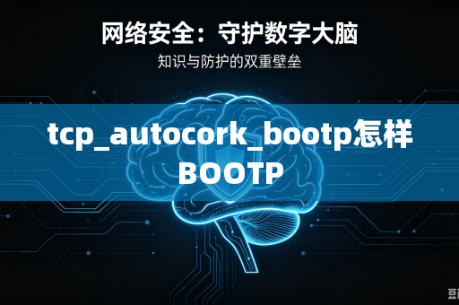 tcp_autocork_bootp怎样BOOTP