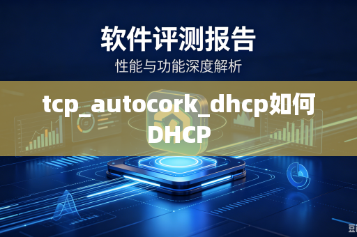 tcp_autocork_dhcp如何DHCP