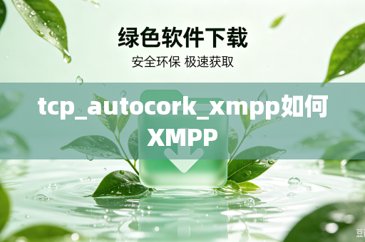 tcp_autocork_xmpp如何XMPP