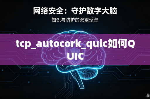 tcp_autocork_quic如何QUIC-第1张图片-电脑手机工具软件下载 - 免费实用工具合集 | 联启科技 tcp_autocork_quic如何QUIC-第1张图片-电脑手机工具软件下载 - 免费实用工具合集 | 联启科技