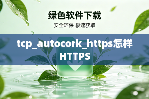 tcp_autocork_https怎样HTTPS