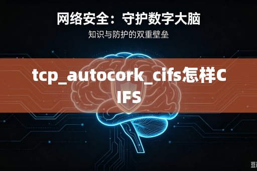 tcp_autocork_cifs怎样CIFS