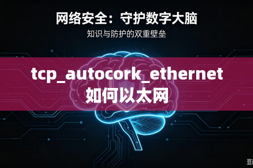 tcp_autocork_ethernet如何以太网-第1张图片-电脑手机工具软件下载 - 免费实用工具合集 | 联启科技 tcp_autocork_ethernet如何以太网-第1张图片-电脑手机工具软件下载 - 免费实用工具合集 | 联启科技