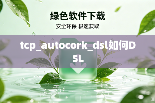 tcp_autocork_dsl如何DSL