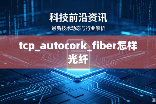 tcp_autocork_fiber怎样光纤-第1张图片-电脑手机工具软件下载 - 免费实用工具合集 | 联启科技