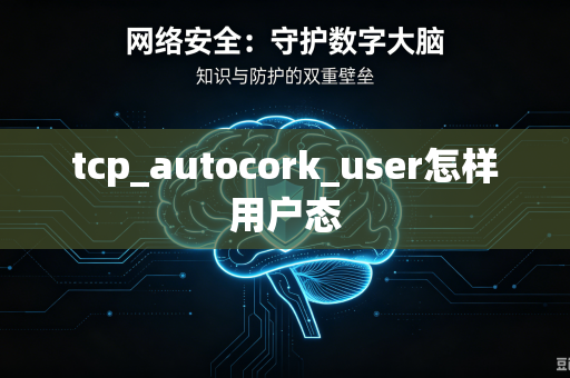 tcp_autocork_user怎样用户态