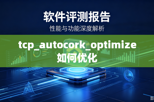 tcp_autocork_optimize如何优化-第1张图片-电脑手机工具软件下载 - 免费实用工具合集 | 联启科技