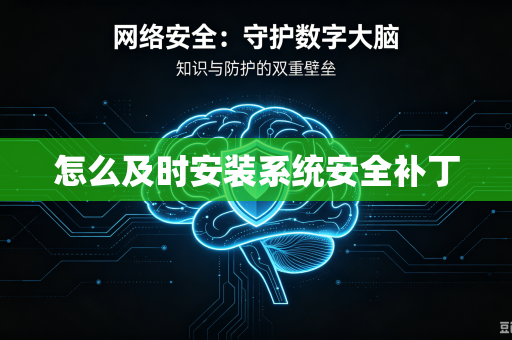怎么及时安装系统安全补丁