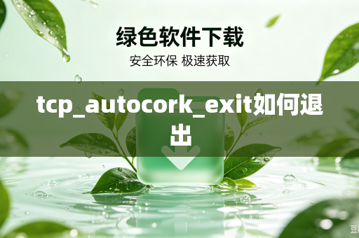 tcp_autocork_exit如何退出-第1张图片-电脑手机工具软件下载 - 免费实用工具合集 | 联启科技