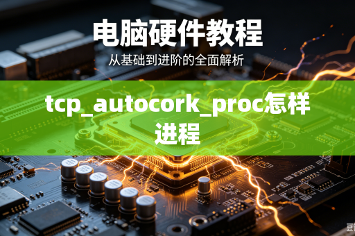 tcp_autocork_proc怎样进程-第1张图片-电脑手机工具软件下载 - 免费实用工具合集 | 联启科技 tcp_autocork_proc怎样进程-第1张图片-电脑手机工具软件下载 - 免费实用工具合集 | 联启科技