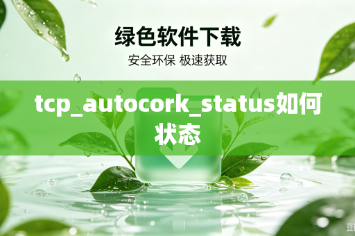 tcp_autocork_status如何状态-第1张图片-电脑手机工具软件下载 - 免费实用工具合集 | 联启科技