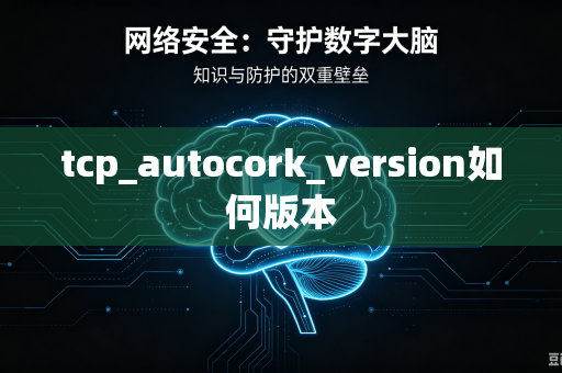 tcp_autocork_version如何版本