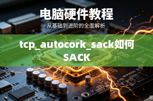 tcp_autocork_sack如何SACK-第1张图片-电脑手机工具软件下载 - 免费实用工具合集 | 联启科技