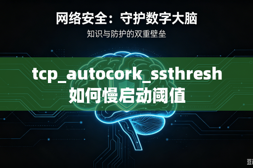 tcp_autocork_ssthresh如何慢启动阈值-第1张图片-电脑手机工具软件下载 - 免费实用工具合集 | 联启科技 tcp_autocork_ssthresh如何慢启动阈值-第1张图片-电脑手机工具软件下载 - 免费实用工具合集 | 联启科技