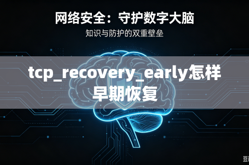 tcp_recovery_early怎样早期恢复-第1张图片-电脑手机工具软件下载 - 免费实用工具合集 | 联启科技 tcp_recovery_early怎样早期恢复-第1张图片-电脑手机工具软件下载 - 免费实用工具合集 | 联启科技