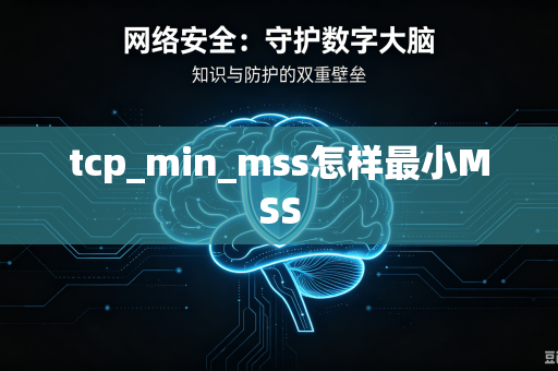 tcp_min_mss怎样最小MSS-第1张图片-电脑手机工具软件下载 - 免费实用工具合集 | 联启科技 tcp_min_mss怎样最小MSS-第1张图片-电脑手机工具软件下载 - 免费实用工具合集 | 联启科技