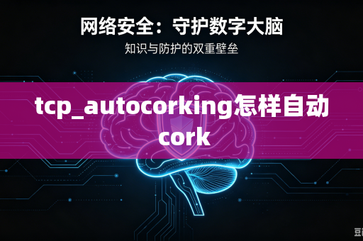 tcp_autocorking怎样自动 cork-第1张图片-电脑手机工具软件下载 - 免费实用工具合集 | 联启科技