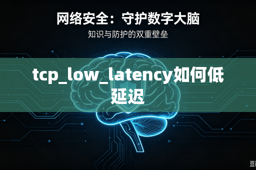 tcp_low_latency如何低延迟-第1张图片-电脑手机工具软件下载 - 免费实用工具合集 | 联启科技