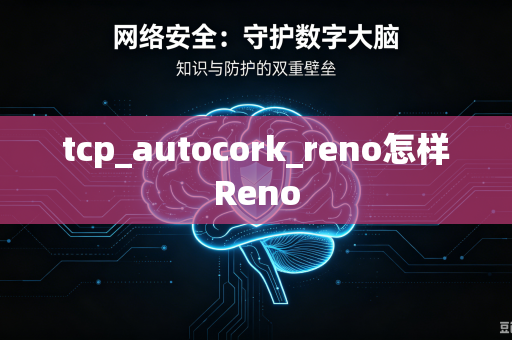 tcp_autocork_reno怎样Reno