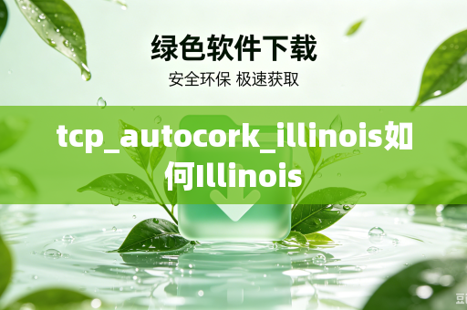 tcp_autocork_illinois如何Illinois