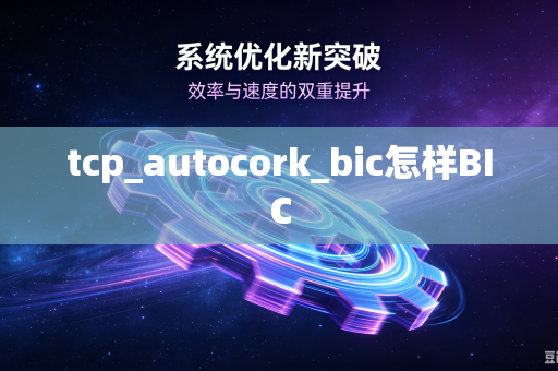 tcp_autocork_bic怎样BIC