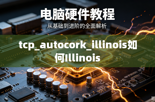 tcp_autocork_illinois如何Illinois