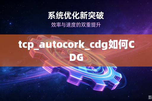 tcp_autocork_cdg如何CDG