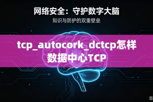 tcp_autocork_dctcp怎样数据中心TCP-第1张图片-电脑手机工具软件下载 - 免费实用工具合集 | 联启科技 tcp_autocork_dctcp怎样数据中心TCP-第1张图片-电脑手机工具软件下载 - 免费实用工具合集 | 联启科技