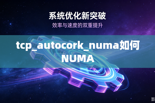 tcp_autocork_numa如何NUMA-第1张图片-电脑手机工具软件下载 - 免费实用工具合集 | 联启科技