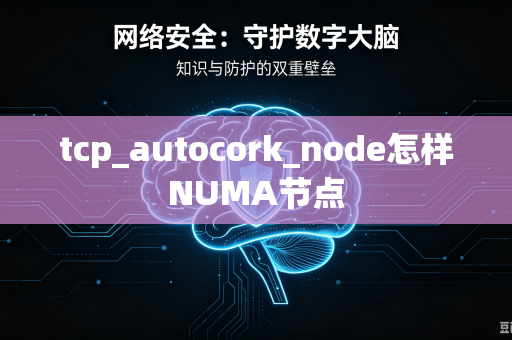 tcp_autocork_node怎样NUMA节点-第1张图片-电脑手机工具软件下载 - 免费实用工具合集 | 联启科技
