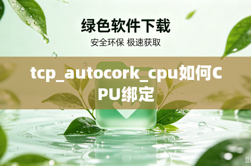 tcp_autocork_cpu如何CPU绑定-第1张图片-电脑手机工具软件下载 - 免费实用工具合集 | 联启科技