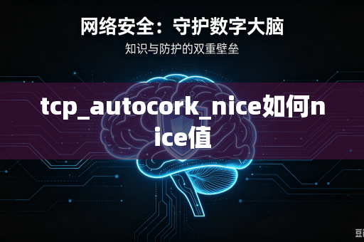 tcp_autocork_nice如何nice值-第1张图片-电脑手机工具软件下载 - 免费实用工具合集 | 联启科技